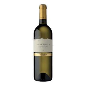 Vino bianco sauvignon  75 cl