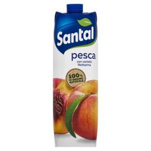 Nettare di pesca