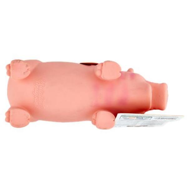 maialino-grugnino-in-lattice-vitakraft-4