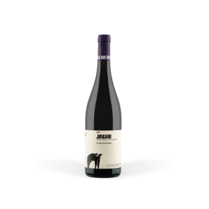 Vino rosso campania igt paestum jungano  1988 75 cl.