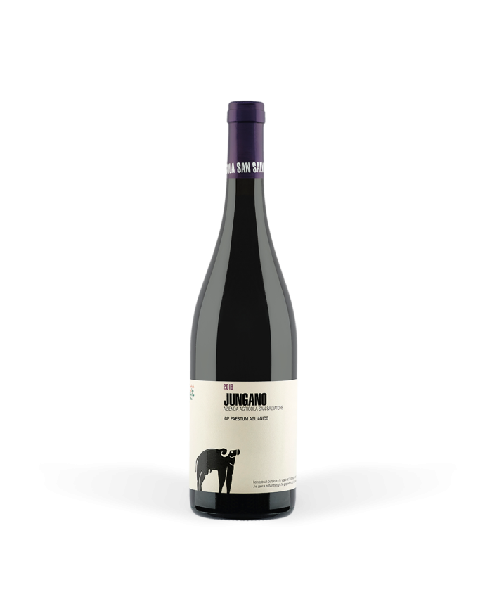 san salvatore 1988, jungano, aglianico, vino rosso, cilento, paestum, igt campania, vino biologico, eccellenza campana, 75cl, vino da invecchiamento, sommelier san salvatore vino rosso campania igt paestum jungano san salvatore 1988 75 cl. - foto 1