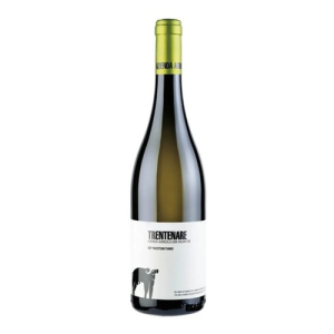 Vino bianco fiano paestum trentenare  1988 75 cl.