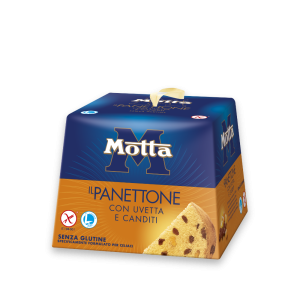 Panettone senza glutine  400 gr.