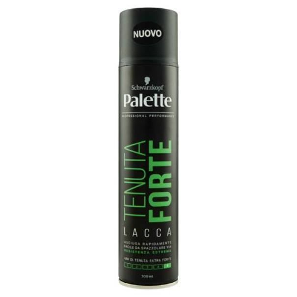 Lacca per Capelli Tenuta Forte Palette Lacca per Capelli Tenuta Forte Palette