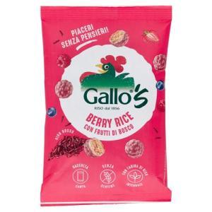Snack riso su riso con frutti di bosco  30 gr