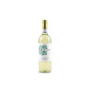 Vino bianco frascati doc  75 cl