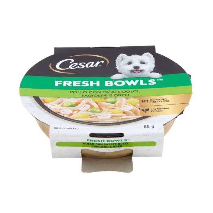 cesar cibo per cani fresh blends pollo e patate dolci cesar 85 gr. - foto 2