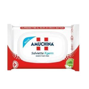 Salviette igienizzanti xgerm  20 pz.